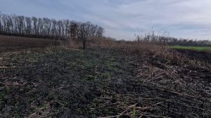 КОП МЕТАЛЛА  23 11 2025