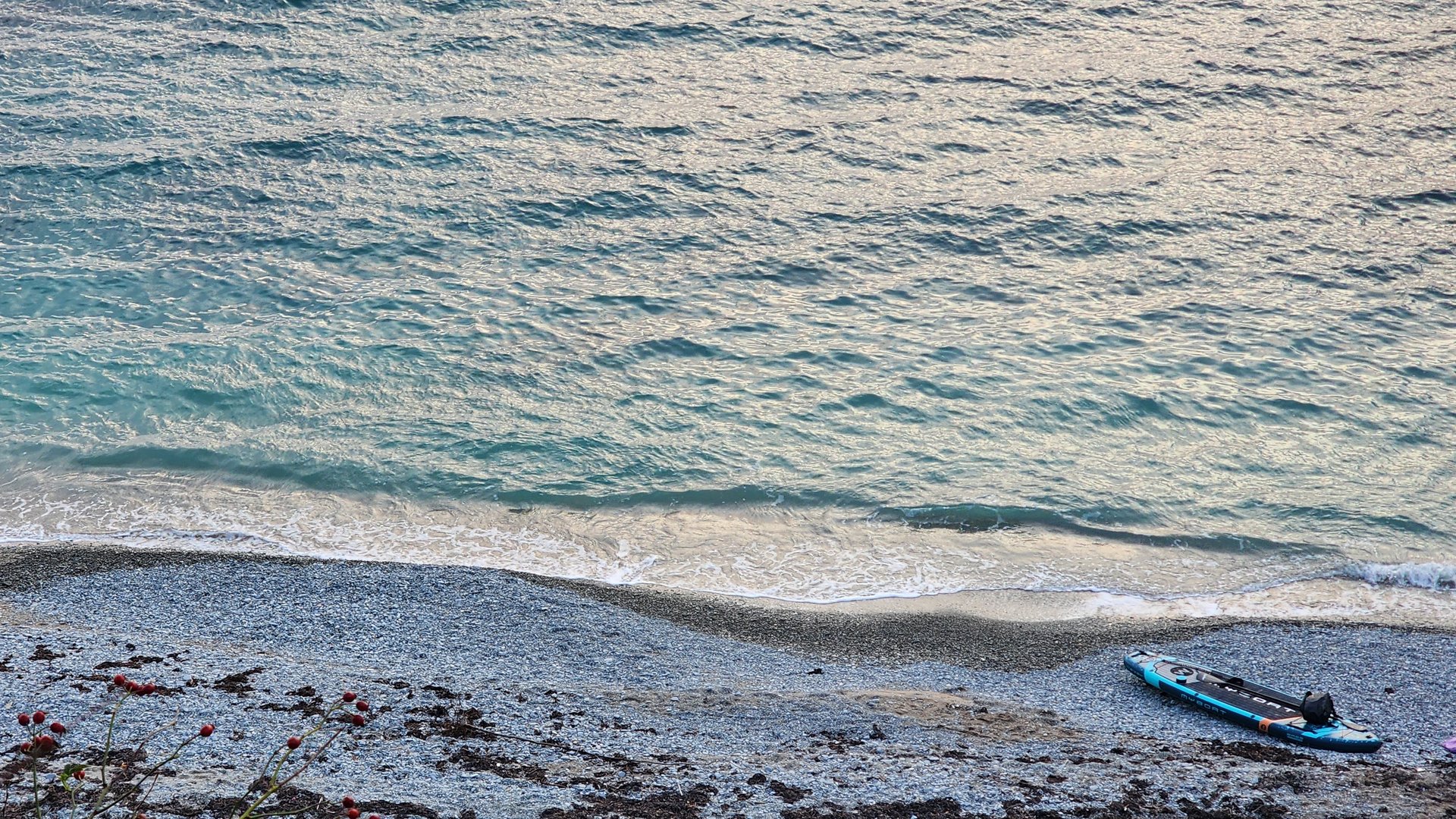 На сапах в поисках дельфинов