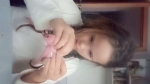 новенький нано скочик