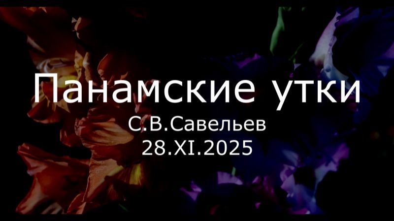 С.В. Савельев - Панамские утки смотреть онлайн