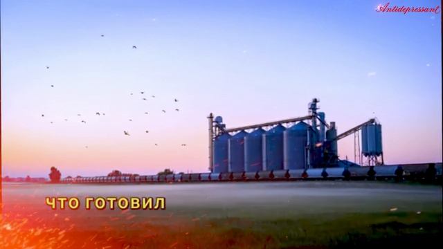 СРОЧНО Лукашенко поставил ЕС на место Минск требует компенсаций и отмены санкций