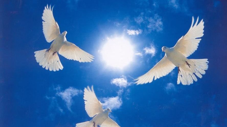 Беспредел в первоапостольской церкви / Церковь Гора Сион /