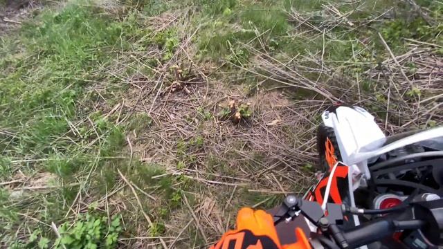 ПОСТАВИЛ ТЮННИНГ НА ПИТБАЙК С WB! ПЕРВЫЙ ВЫЕЗД НА ПИТБАЙКЕ В ГОРОДЕ смотреть онлайн