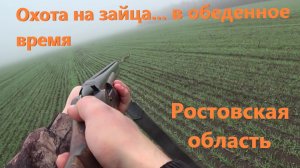 Охота на зайца...в обеденное время