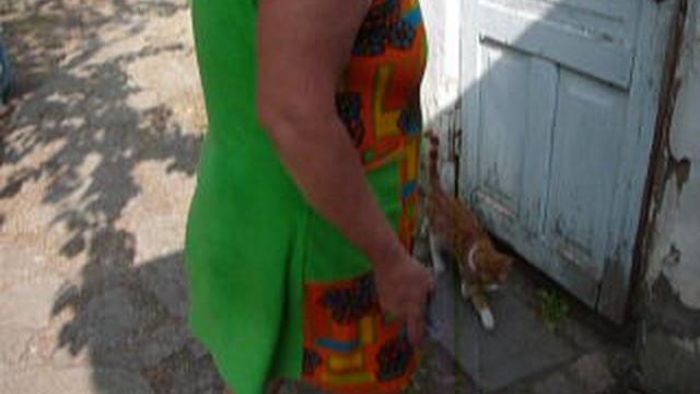 P1010443 смотреть онлайн