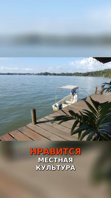 Благотворительность в действии! смотреть онлайн