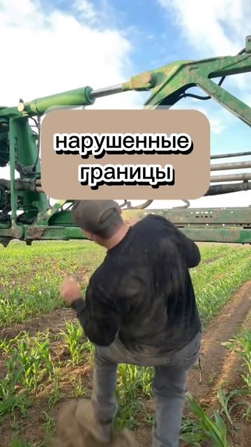 Добро пожаловать в джунгли вашей психики! 😊