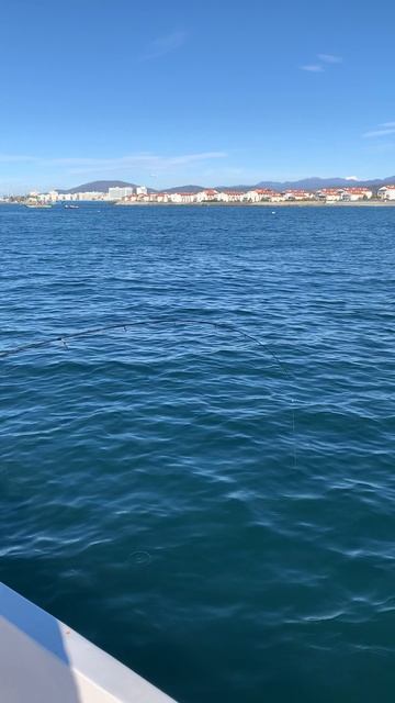 Подачи. смотреть онлайн