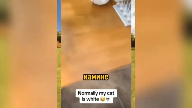 РИЛ: Выходные в моей ау 🤣🤣🤣🤣🤣🤣 смотреть онлайн