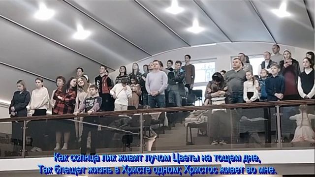 Как дышит в семени цветок, общее пение 23.11.2025 смотреть онлайн