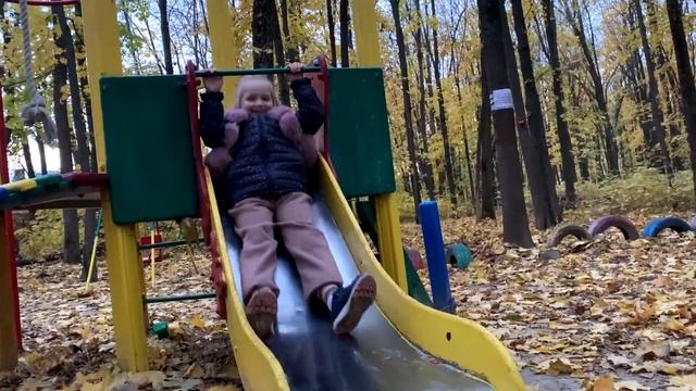 осень. 29 октября 2022 года. Роща. смотреть онлайн