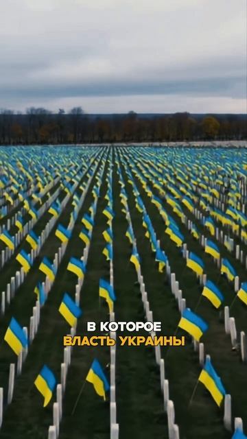 Дмитрий Валериевич когда ты уже займешься непосредственно своим делом, защитой прав, свобод граждан? смотреть онлайн
