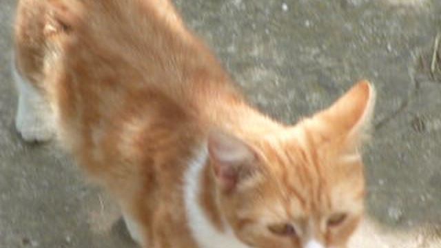 P1010442 смотреть онлайн