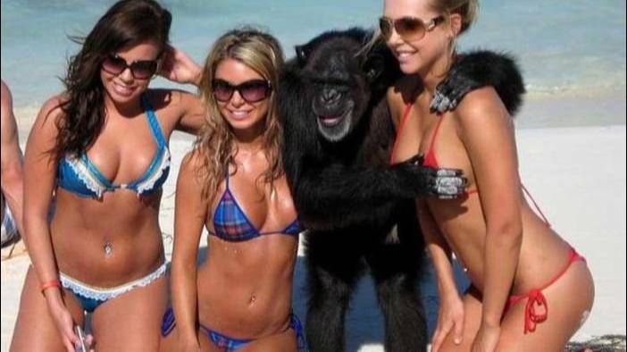 ✅ СМЕХОТЕРАПИЯ! ПРИКОЛЫ 2025 ДЛЯ НАСТОЯЩЕГО УГАРА! 😁 смотреть онлайн