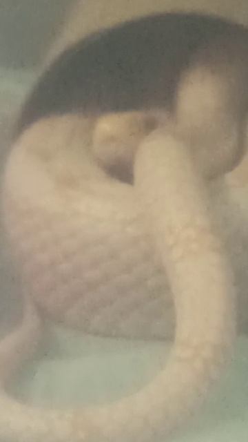 Карамелька. 17 ноября 2025 г. смотреть онлайн