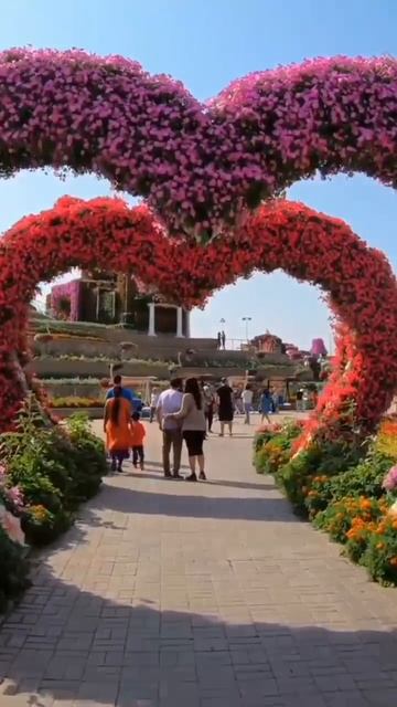 ОАЭ. Dubai Miracle Garden (Сад чудес или Парк цветов)