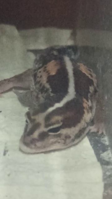 Глаша на термоковрике. 20 ноября 2025 г. смотреть онлайн