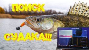 СУДАК и ЩУКА на ДЖИГ 💪 Поиск ХИЩНИКА по структурнику на водохранилище!