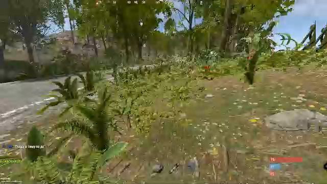 играю в раст