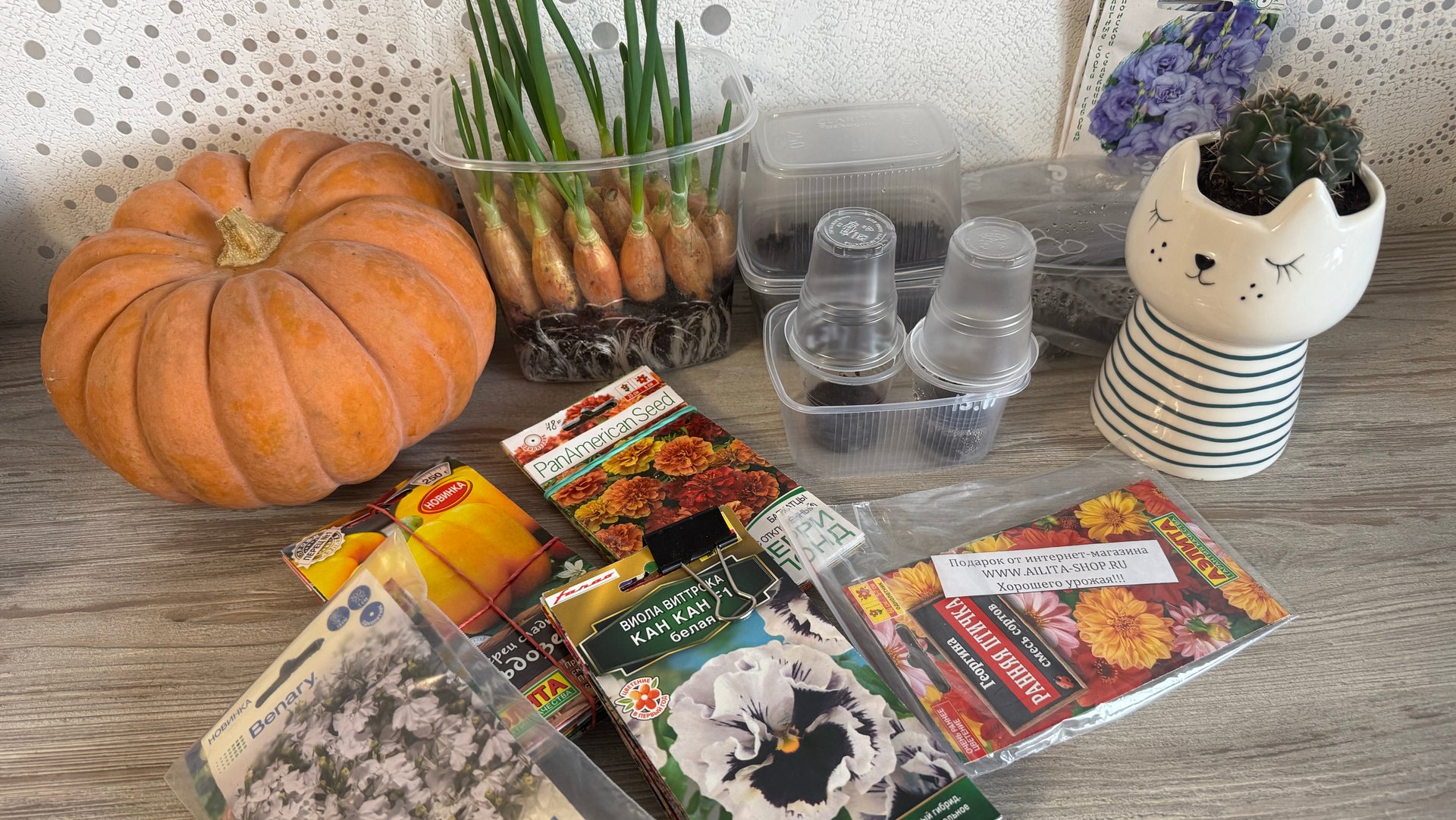 Обзор семян. Посылка от Аэлиты на 2026г смотреть онлайн