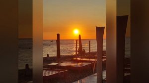 пляж ,,Дельфин,, и ,,Мексиканский тушкан,, 🏖️🌊⛵