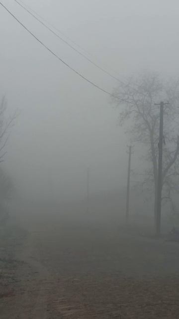 Утренний туман. 14 ноября 2025 г. смотреть онлайн