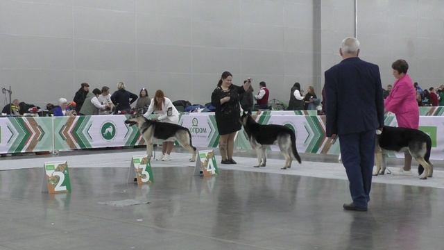 Класс чемпионов смотреть онлайн