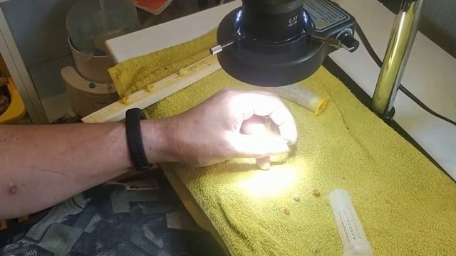 Метим маток Бакфаст смотреть онлайн