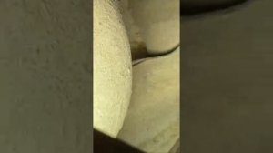 ☝️Что-то HAVAL активно начал приезжать совпадение ?