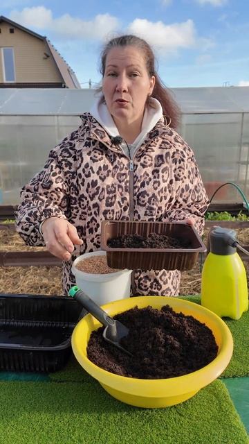 КАК ВЫРАСТИТЬ ТРАВУ ДЛЯ КОШЕК - КАКУЮ ВЫБРАТЬ ДЛЯ ПОСЕВА смотреть онлайн