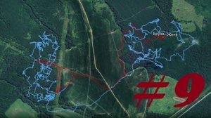 ОХОТА НА ПОЛЕВОГО ПРОФЕССОРА! Охота с эстонской гончей на зайца-беляка 23.11.2025