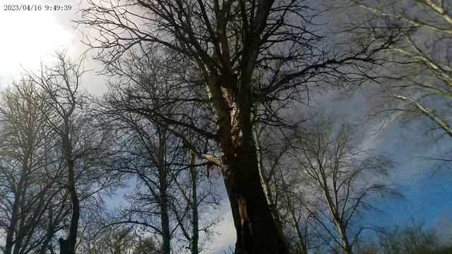 поездка в село.колыбелка