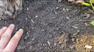 Сколько стоит разгадка тайны плодородия?