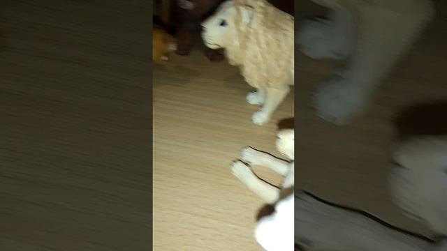 львы. смотреть онлайн