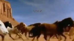 Поле Полюшка, музыка на Турецком