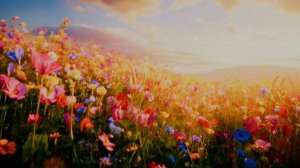 САКУРА И СОЛОВЕЙ ПЕСНЯ О ЛЮБВИ клип нейросеть авторская песняНОВИНКИ МУЗЫКИ.mp4