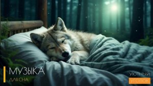 Музыка для сна: путь к спокойному отдыху