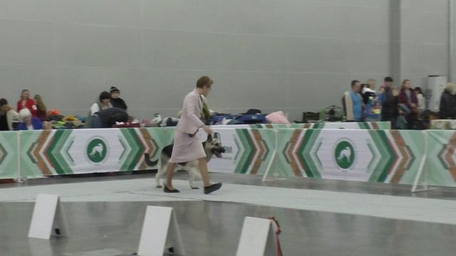 Верный Друг Жоффрей смотреть онлайн