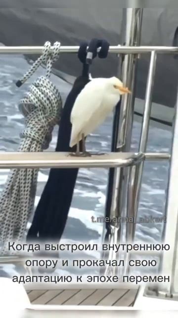 Про внутреннюю устойчивость