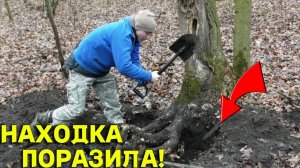 НЕОЖИДАННАЯ НАХОДКА под КОРНЯМИ Старого ПНЯ, Фарт на Копе, аж не ВЕРИТСЯ!!!