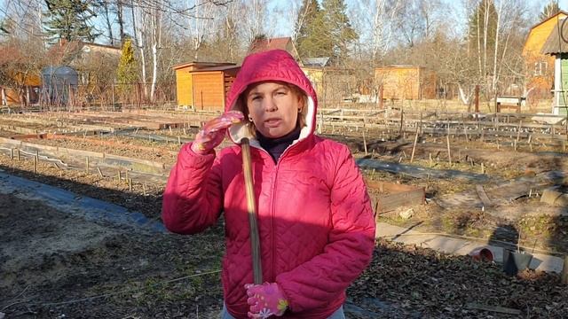 Флоксы весной. Советы по уходу и подкормке от Анны Калугиной