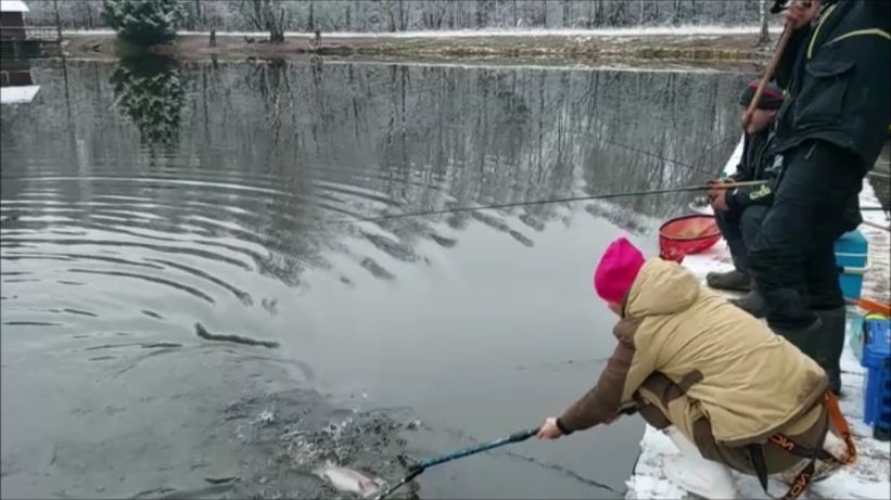 Утро на нижнем водоёме. Клёвое место, Лосиный остров. смотреть онлайн
