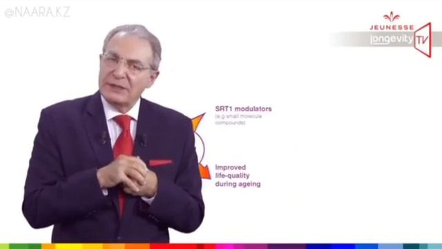 О NEORESERVO простыми словами смотреть онлайн