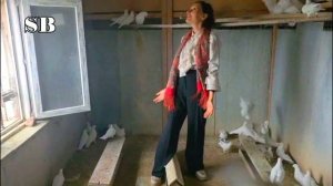 Знаменитая сербская актриса Ивана Жиган в гостях на голубевода Юрия Шмелёва