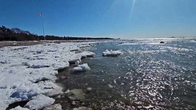 Ep.234 This, That and Everything (Russian Subtitles) смотреть онлайн