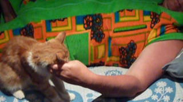 P1010491 смотреть онлайн