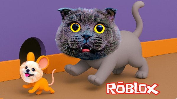 Ловлю мышек, чтобы выжить в Роблокс. Прятки кошки против мышек в Roblox