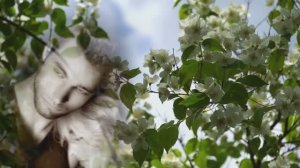 АХ! КАК ЖАЛЬ. - проникновенную песню поёт АНАТОЛИЙ ДНЕПРОВ