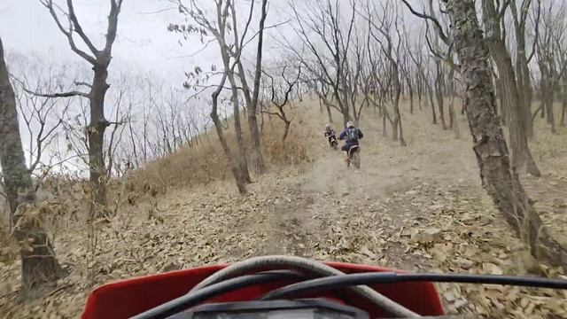 22 Ноября 2025 Эдуро Покатуха