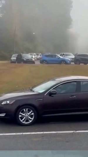 Единственный водитель, без стадного мышления #дорога #город #улица #пробка